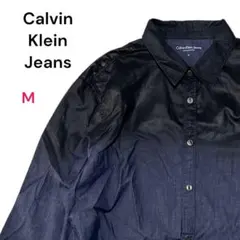 カルバンクラインジーンズ M ロングスリーブシャツ 長袖シャツ グラデーション