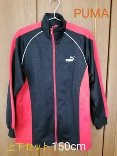 PUMA ジャージ上下セット　150cm