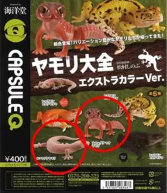 2025年最新】ヤモリ大全の人気アイテム - メルカリ