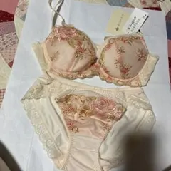 限定値下げ中　ワコール　サルート　花柄刺繍 ブラジャーショーツセット C65 M ワコール 花柄刺繍 ブラジャー&ショーツセット - メルカリ