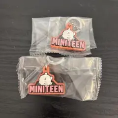 MINITEEN ぷっくりめじるしアクセサリー ピョプリ ウジ