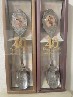 ※値下げ交渉可※ディズニー 40周年記念 スプーンセット