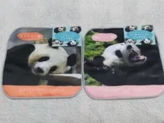 アドベンチャーワールド パンダファミリーミニタオル 6枚セット　ガチャ アドベンチャーワールド パンダファミリーミニタオル - メルカリ