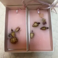 Item thumbnail for item f5e61042-db50-495b-9aef-784687eb044a