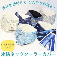 Item thumbnail for item c38683e3-9902-4261-93e0-7c457ba78bb1