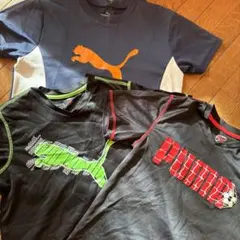 PUMA Tシャツ 3枚セット 140〜150サイズ