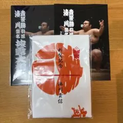 Item thumbnail for item fe0c55f1-b37b-4682-b9db-ad7e7d697c0e