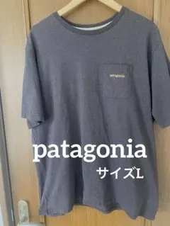 patagonia ダークブラウンTシャツ　サイズL