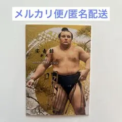 大の里 森輝 BBM 2026 大相撲カード - メルカリ