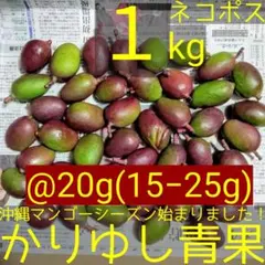 マンゴー+摘果/1.2 kg including box/コンビニ/ATM ❌️ - メルカリ