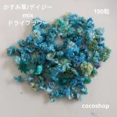 (103) かすみ草/デイジーmixドライフラワー100粒