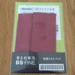 Item thumbnail for item 6e83954d-f966-45f0-a200-b53a54f7f2c9