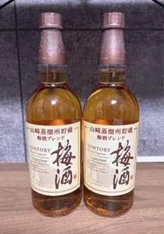 Item thumbnail for item c4c86604-f1fe-46bc-9792-089ee3a5543f