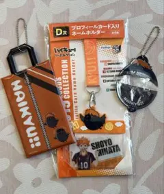 ハイキュー‼︎ 日向翔陽セット