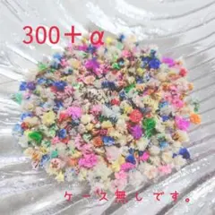 かすみそう ドライフラワー　小さめ沢山ミックス