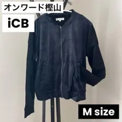 Item thumbnail for item 093b766c-6aab-4a0d-a96f-4ae7b521aeb9