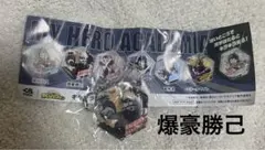 Item thumbnail for item 0fc64bd3-7e73-4f46-9900-96ebcce230aa