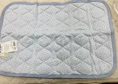 Item thumbnail for item 11940d1f-66e5-444d-bb72-2d1a0deb5478