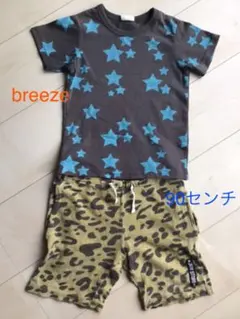ブリーズ Tシャツとハーフパンツのセット 100センチ 2枚セット