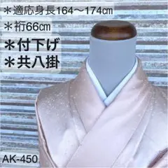 AK-450 刺繍 付下げ 裄66 共八掛 正絹 広衿 袷 着物