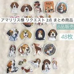 アマリリス様 リクエスト 2点 まとめ商品