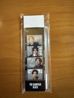 武知海青　フォトグレイキーホルダー