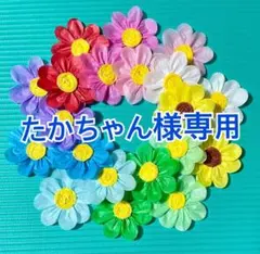 たかちゃん様専用ページ