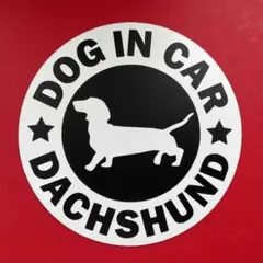 Item thumbnail for item 7799e657-a444-448e-a862-bce2f1458d0b