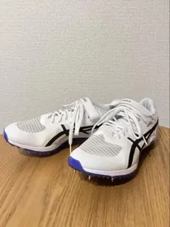 asics SP BLADE 10 短距離用 陸上スパイク 24.5cm
