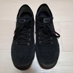 【海外限定】Nike エアベイパーマックスフライニット　30cm　値下げ不可