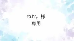 ねむ。様専用　No84ジェルネイルチップ