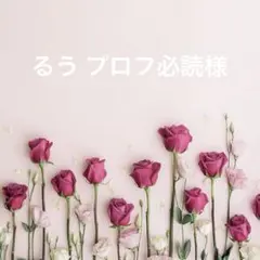 るう プロフ必読様専用