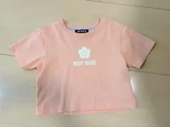 マリークワント シンプルデイジーロゴクロップドTシャツのサムネイル