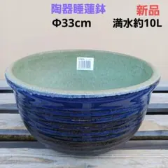 新品 33cm 陶器 睡蓮鉢 メダカ鉢 難有 ラリマーブルー スカイブルーSWC