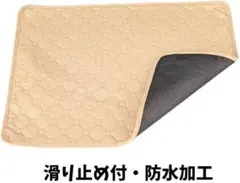 Item thumbnail for item 9b23f422-8a26-4aea-a96f-d8e22803abb3