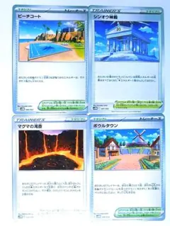 ポケモンカード ポケカ 汎用カード デッキパーツ マグマの滝壺 ビーチコート
