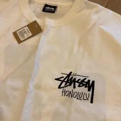 Item thumbnail for item 3dc06e29-004f-4e8b-b090-bd8c8fb3c8b3