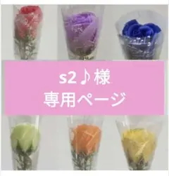 s2♪様専用