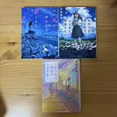 恋愛小説 スターツ出版文庫3冊セット
