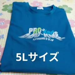 PRO-Keds PLAYGROUNDS OF NY Tシャツ 5Lのサムネイル