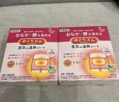 花王 めぐりズム 蒸気の温熱シート おなか・腰を温める 5枚入 2箱セットのサムネイル