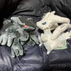 ゼクロム レシラム ぬいぐるみセット ポケモンセンター ポケセン