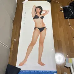 Item thumbnail for item e866dd9c-272a-47ae-91e8-5c9294744b9c