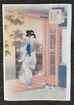 k.s-kamiya..様 リクエスト 2点 まとめ商品