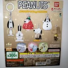 スヌーピー　めじるしアクセサリー　FUNNY Ver. 全6種コンプリート