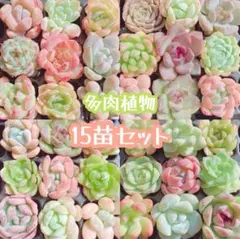 ari様 リクエスト 2点 まとめ商品