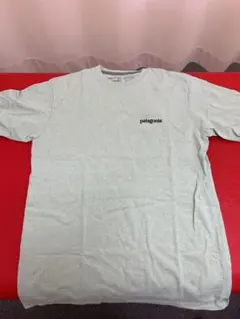パタゴニア　メンズレスポンシビリティー　Tシャツ　新品　未使用