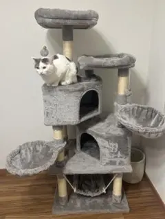 コストコ キャットタワー 美品 - メルカリ