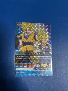 ドラゴンボール　超カードゲーム　孫悟空&ベジータ　爆レア　データカードダス