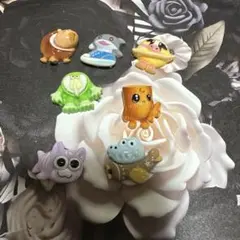 イタリアンブレインロットデコパセット